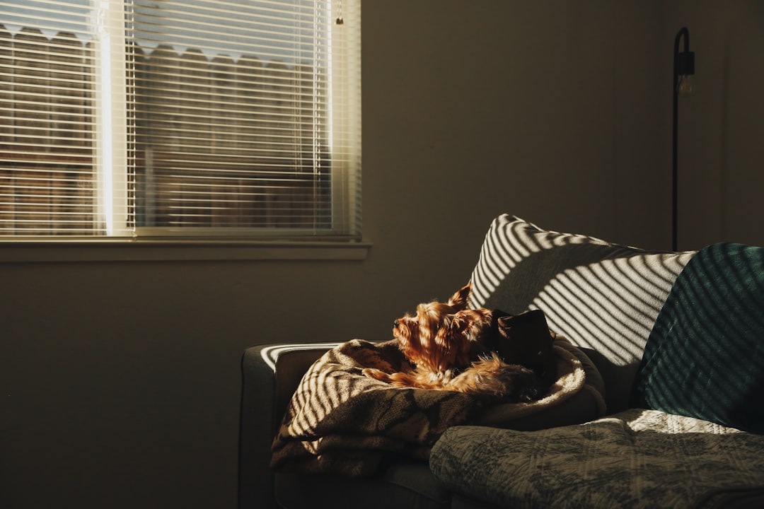 The Case for Slow Reading in a Fast-Feed World